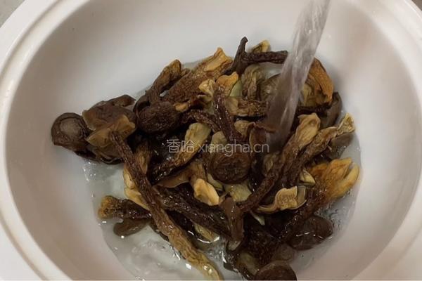 鹿茸菇瘦肉汤的做法图解3