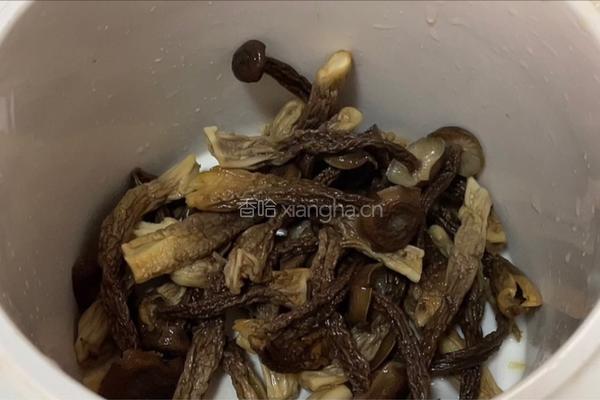 鹿茸菇瘦肉汤的做法图解6