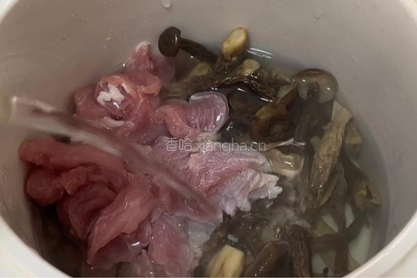 鹿茸菇瘦肉汤的做法图解8
