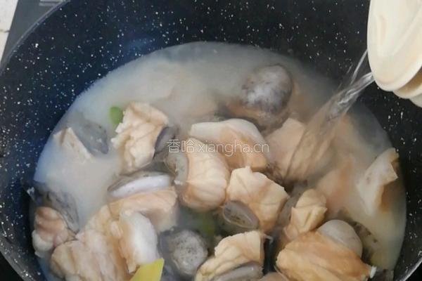 石斑鱼豆腐汤的做法图解4