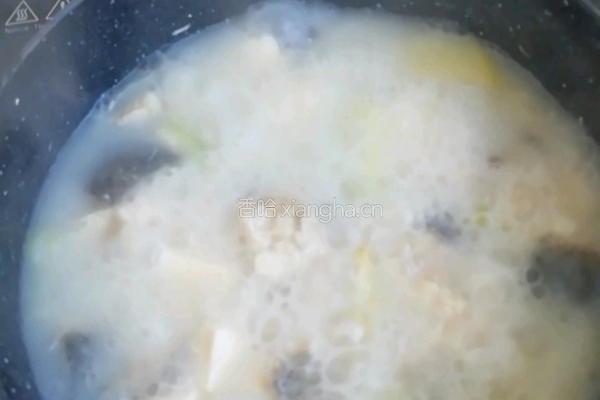 石斑鱼豆腐汤的做法图解7