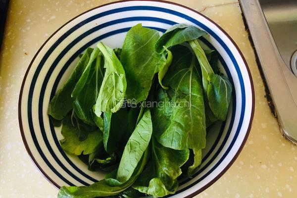 菜心豆腐汤的做法图解2