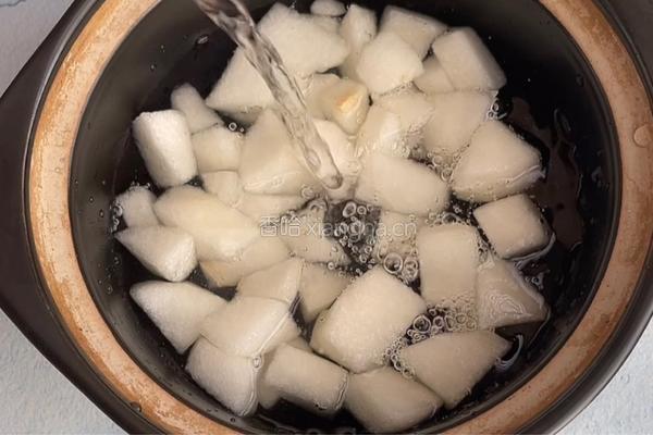 雪梨炖肉的做法图解4