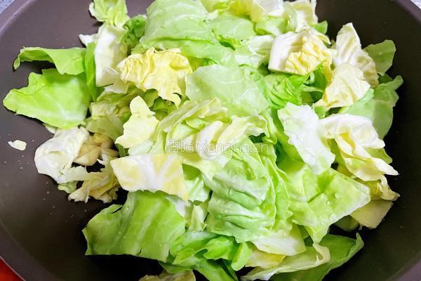 蚝油包菜的做法图解4