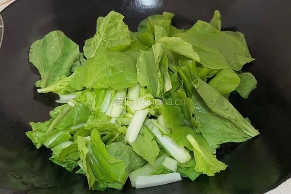 蒜蓉小白菜的做法图解5