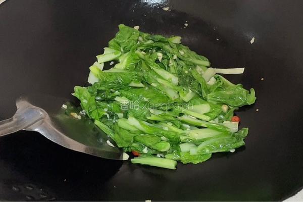 蒜蓉小白菜的做法图解8