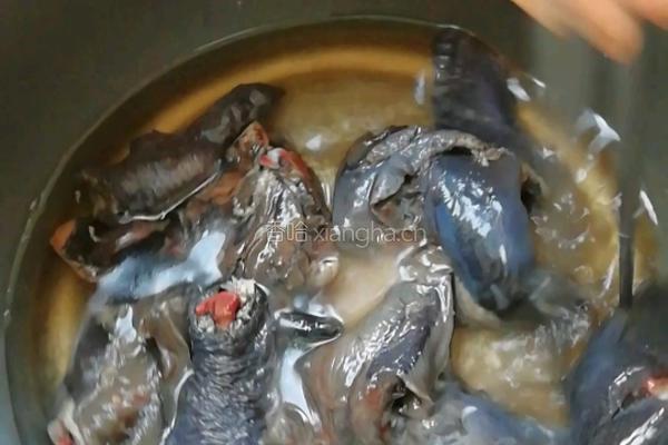 乌鸡香芋的做法图解1