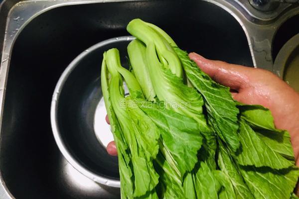 芥菜肉丝汤的做法图解4