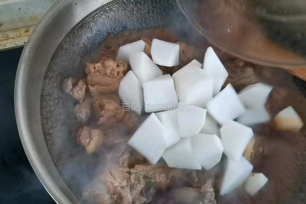 白萝卜炖鸭肉的做法图解11