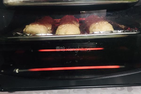 全麦小餐包的做法图解12