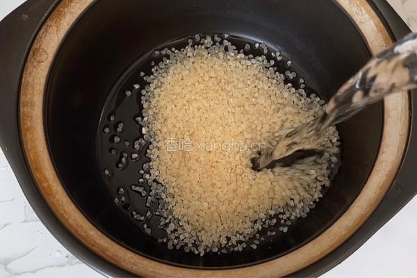 牛奶番薯粥的做法图解2