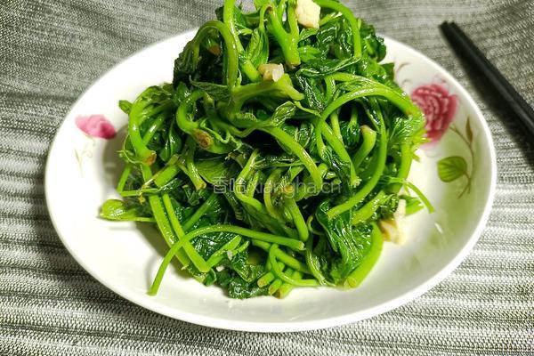醋溜苕尖的做法图解8