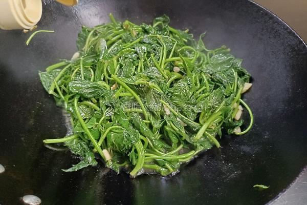 醋溜苕尖的做法图解6