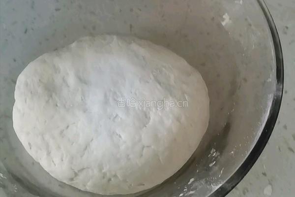白菜翡翠饺子的做法图解2