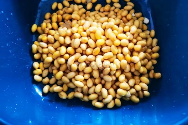 豆腐脑的做法图解4
