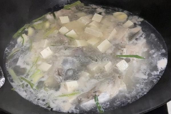 鱼头豆腐汤的做法图解8