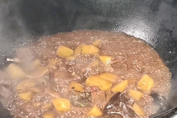 红焖牛肉的做法图解9