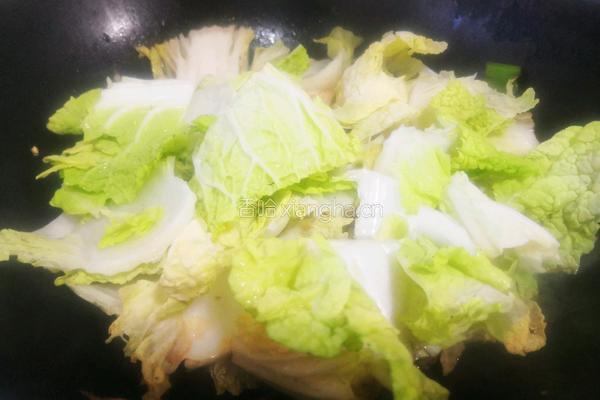 五花肉烧大白菜的做法图解6