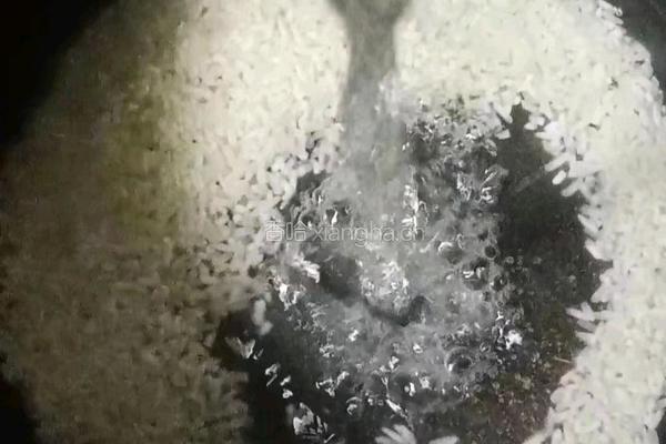 山药鸡肉粥的做法图解1