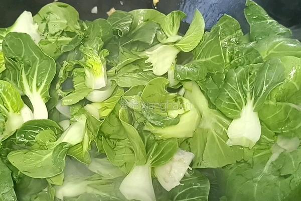 蒜爆小白菜的做法图解4