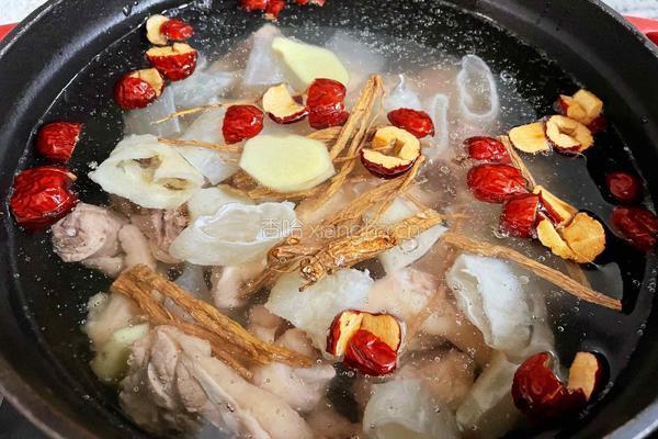 花胶鸡汤的做法图解8
