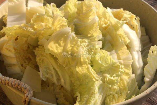 白菜炖豆渣的做法图解2