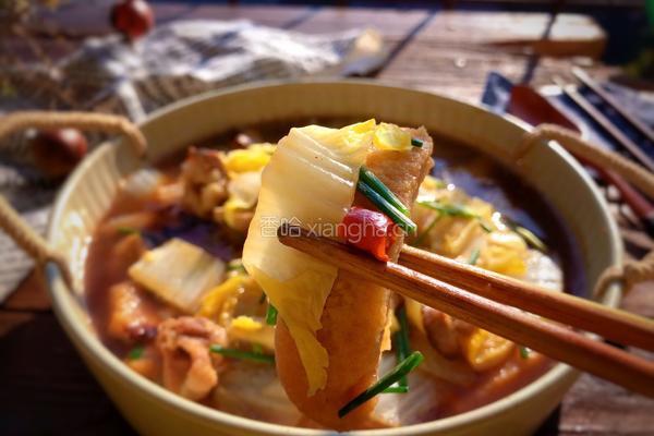 白菜炖豆渣的做法图解15