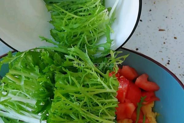 土豆泥青菜沙拉的做法图解3