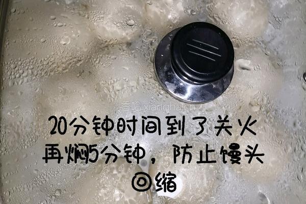 醪糟老面馒头的做法图解14