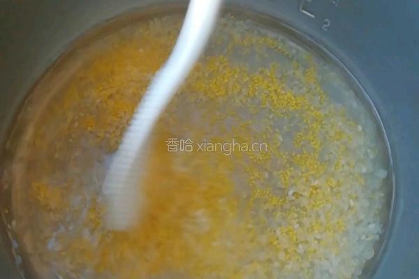 南瓜粥的做法图解2