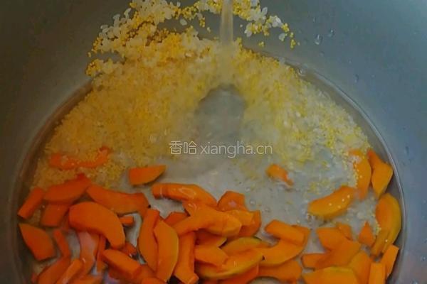 南瓜粥的做法图解4