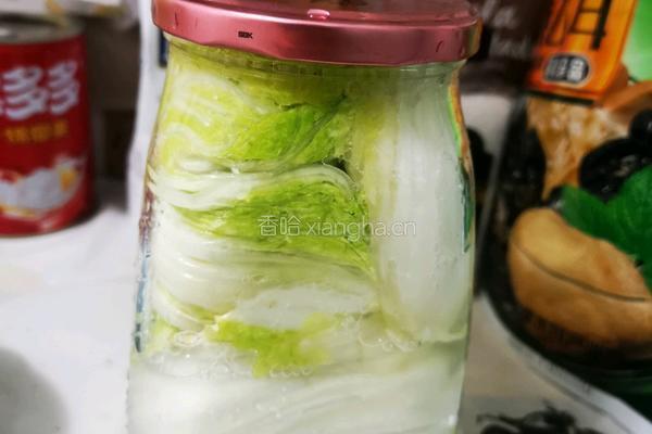 冬天里的酸白菜的做法图解7