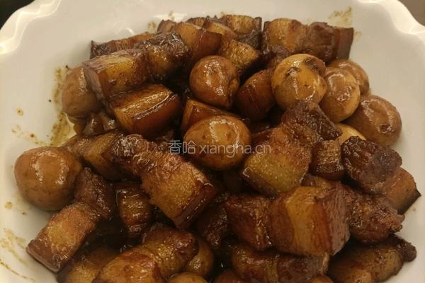 红烧肉的做法图解5
