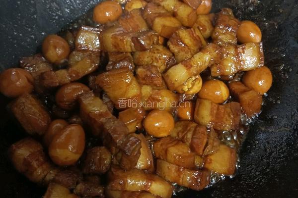 红烧肉的做法图解3