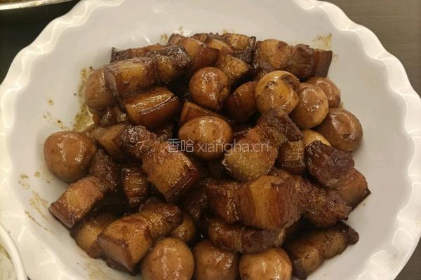 红烧肉的做法图解4