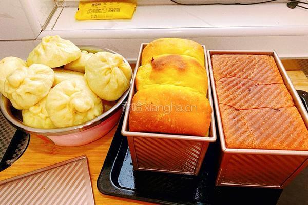 自制南瓜吐司面包的做法图解12