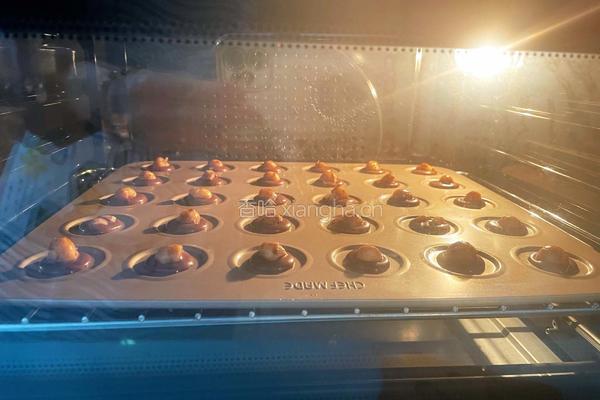 夏威夷果可可脆片的做法图解14
