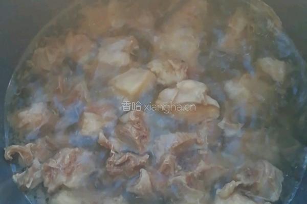 西红柿炖牛腩的做法图解2