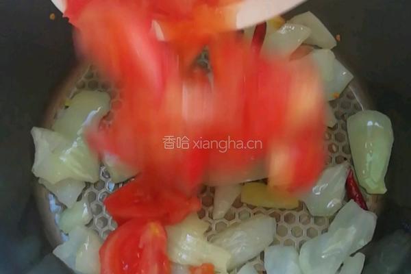 西红柿炖牛腩的做法图解4