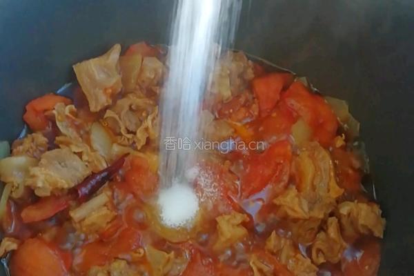 西红柿炖牛腩的做法图解8
