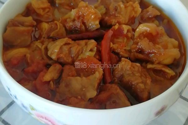 西红柿炖牛腩的做法图解9
