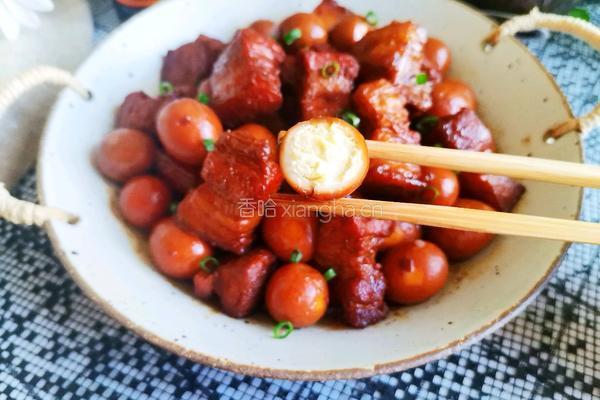 鹌鹑蛋红烧肉的做法图解13
