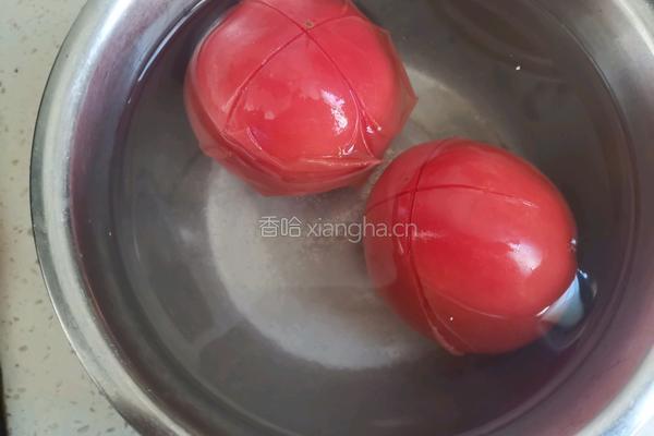 番茄肉酱意大利面的做法图解4
