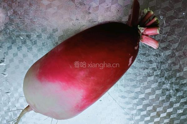 小葱萝卜丝的做法图解1