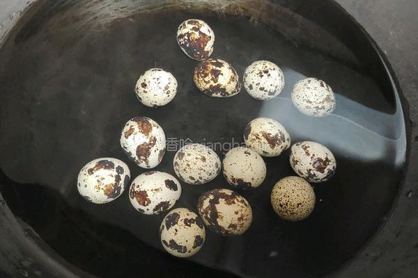 鹌鹑蛋红烧肉的做法图解1