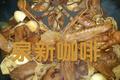 黑周鸭