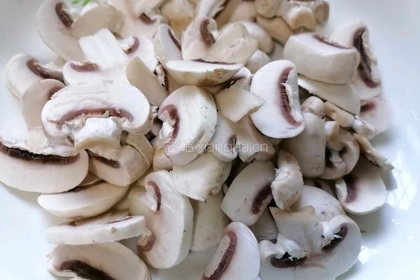 蘑菇炒肉的做法图解4