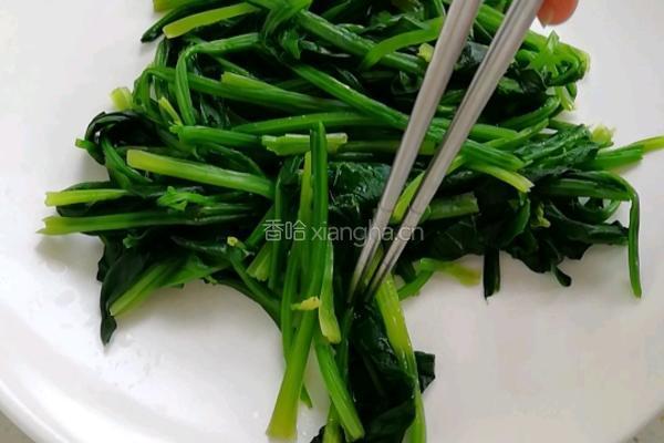 麻酱菠菜的做法图解2