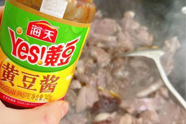 清远农家焖乌鬃鹅的做法图解5