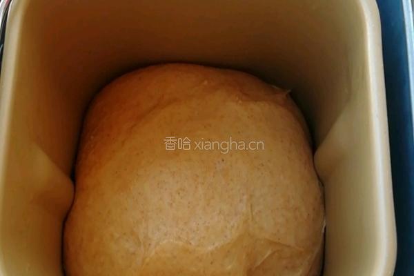 全麦吐司的做法图解4